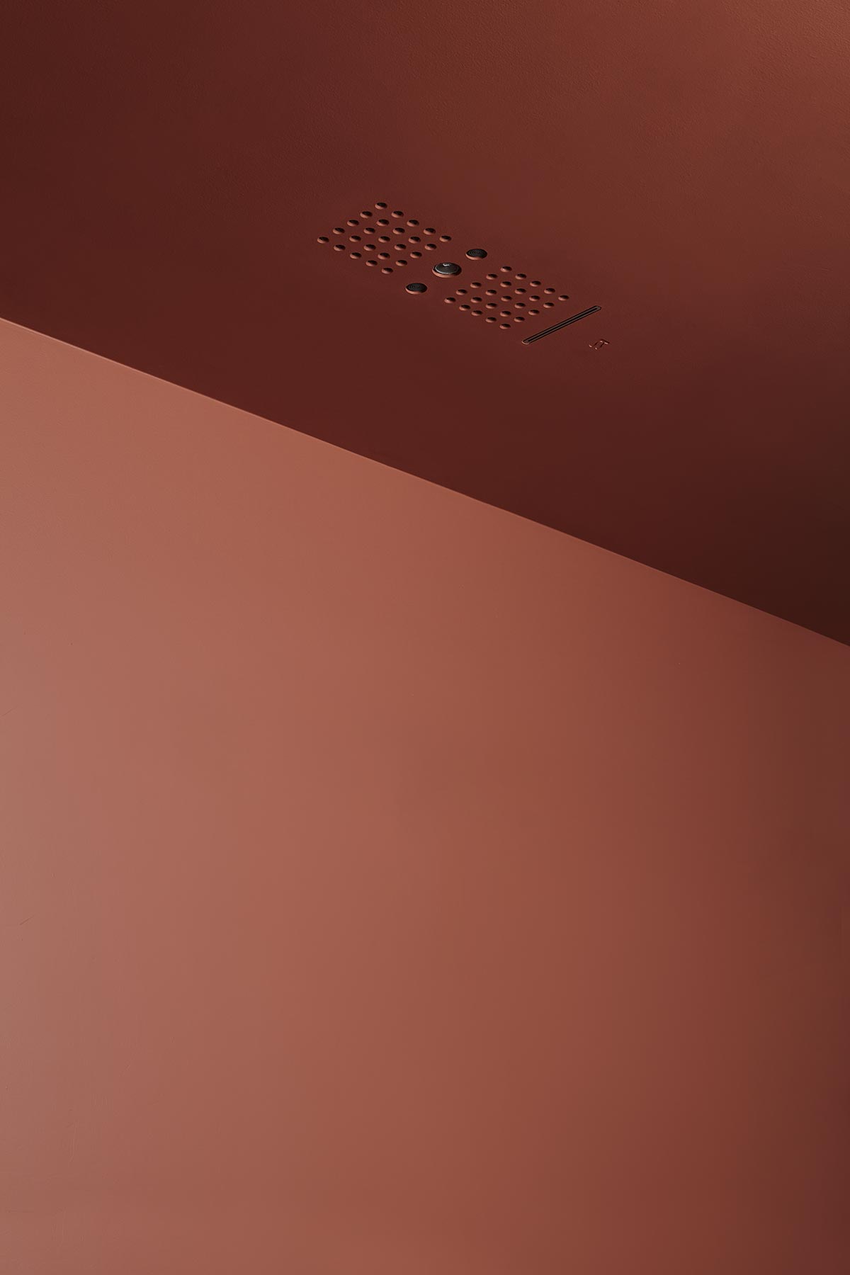 It totally disappears, leaving the role of protagonist to water and its regenerating effect. 