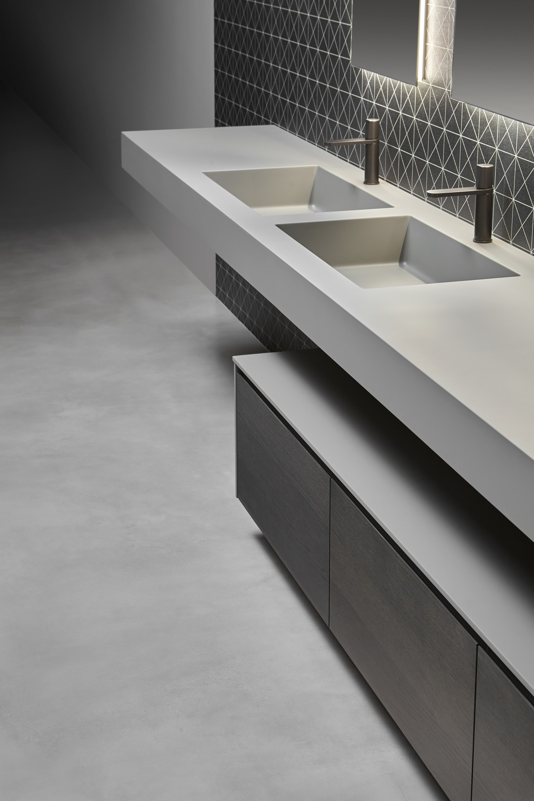 a coherent and sophisticated language