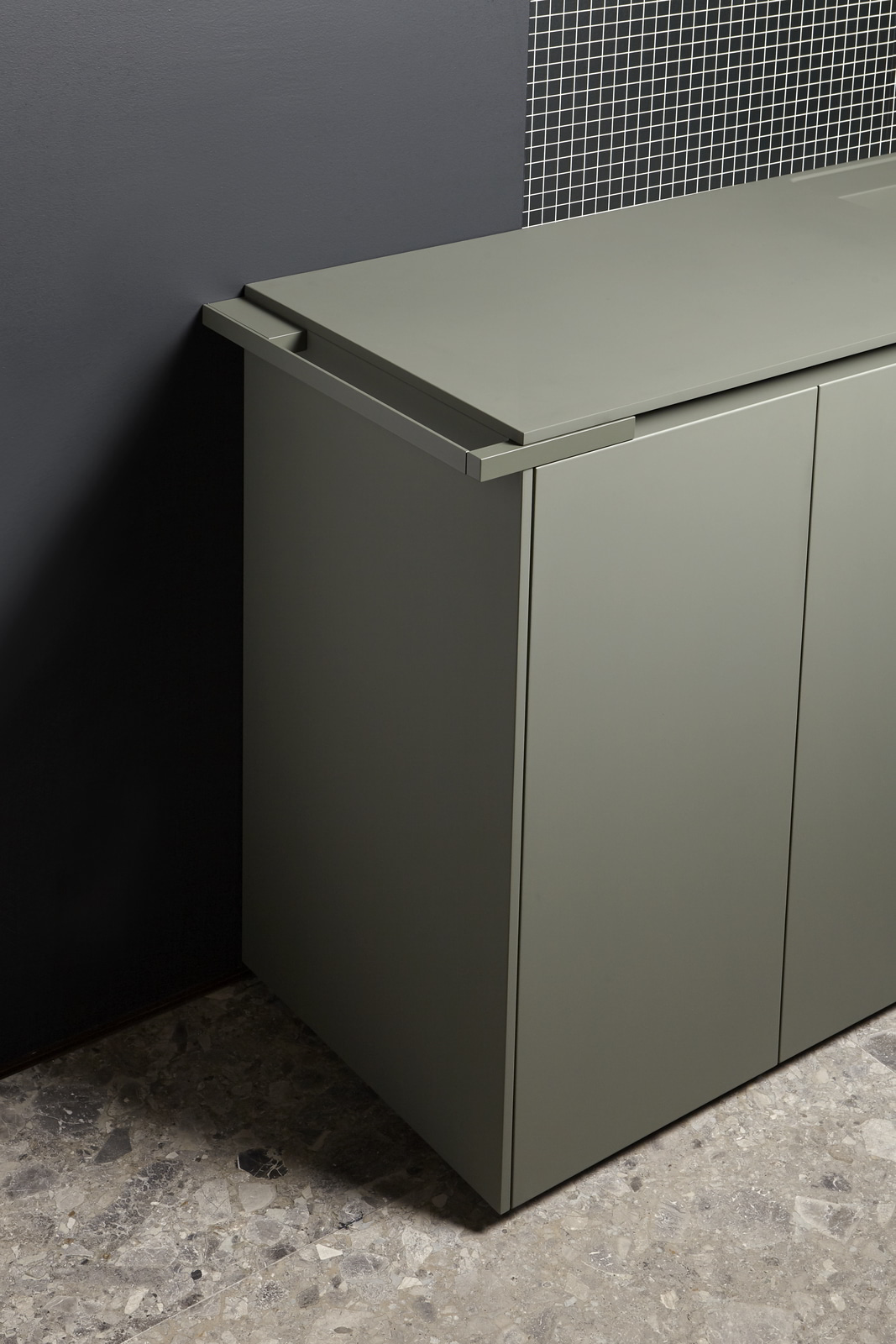 a coherent and sophisticated language