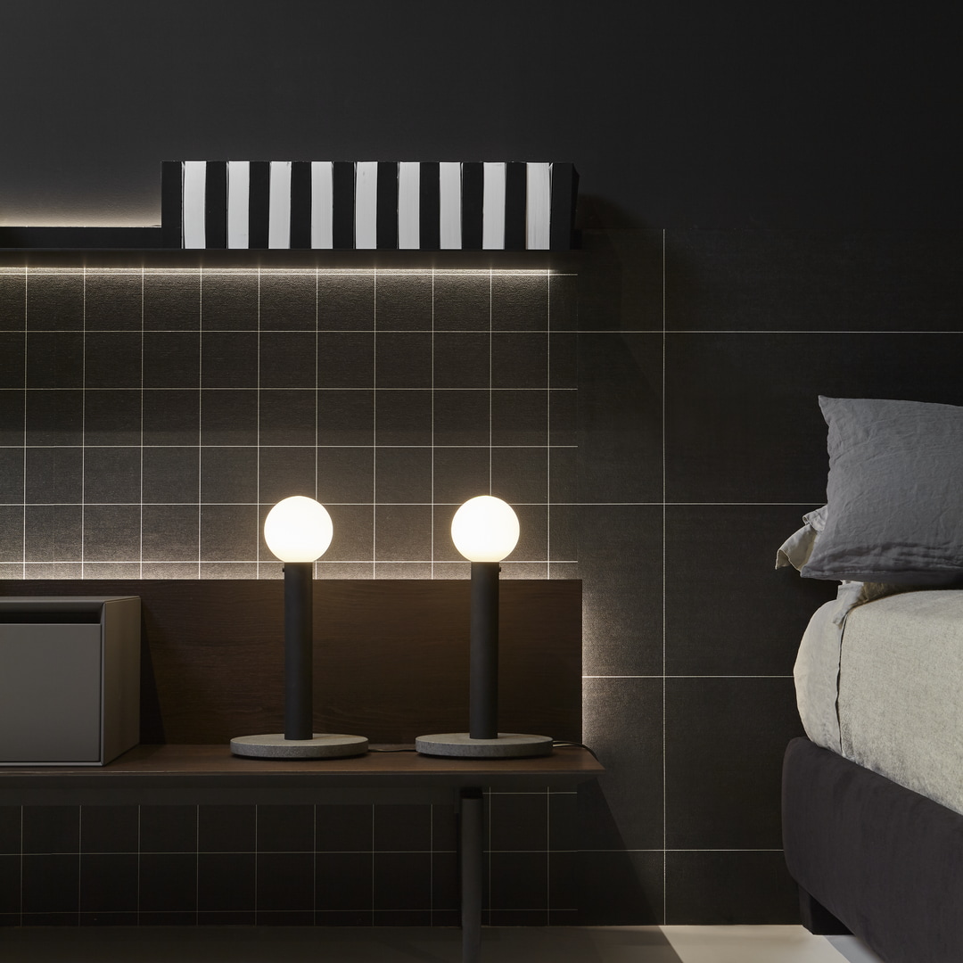 An evolutionary project