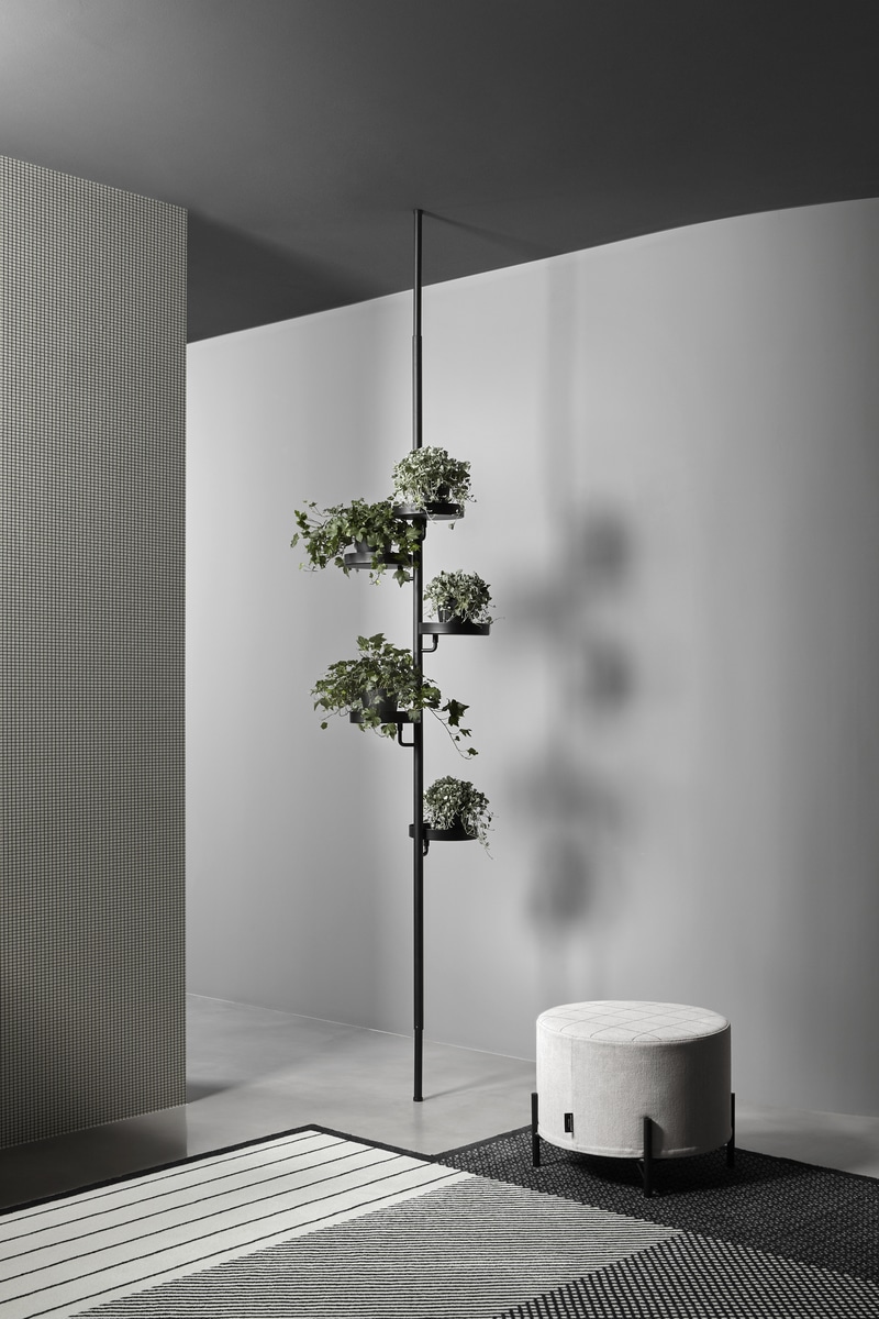 unprecedented "plant organism"