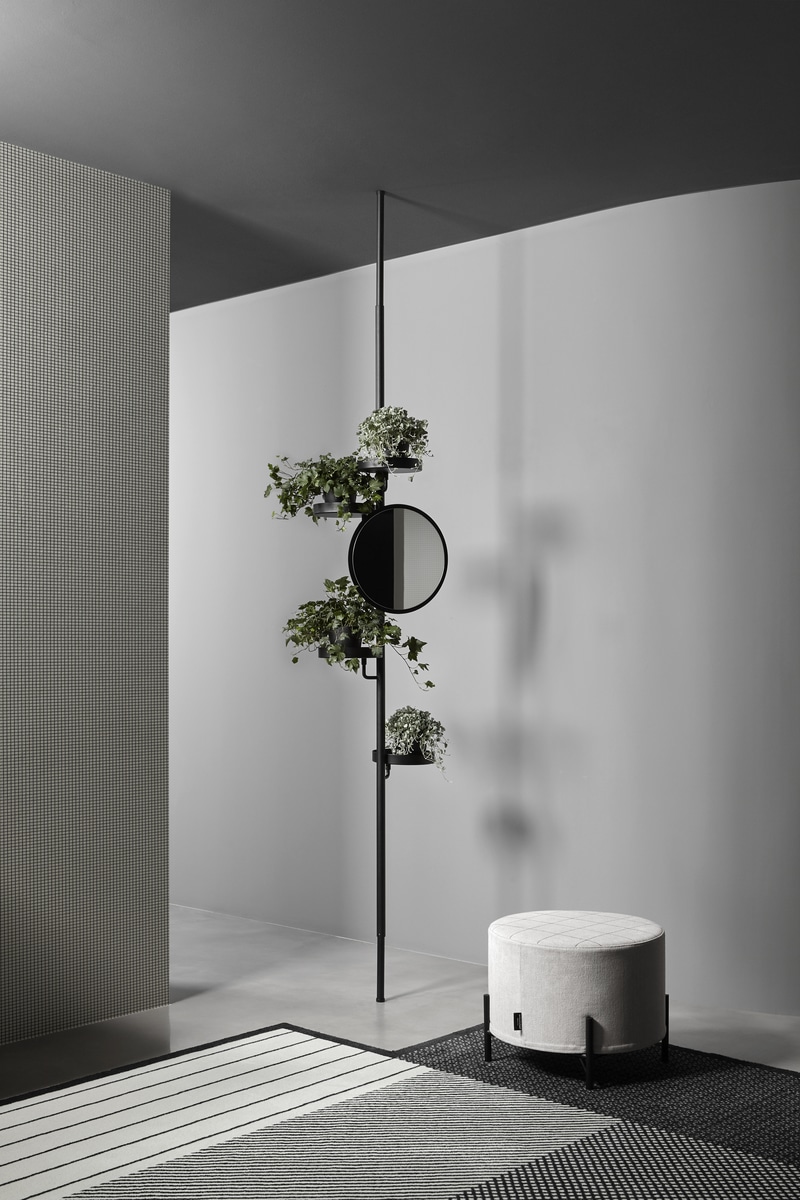 unprecedented "plant organism"