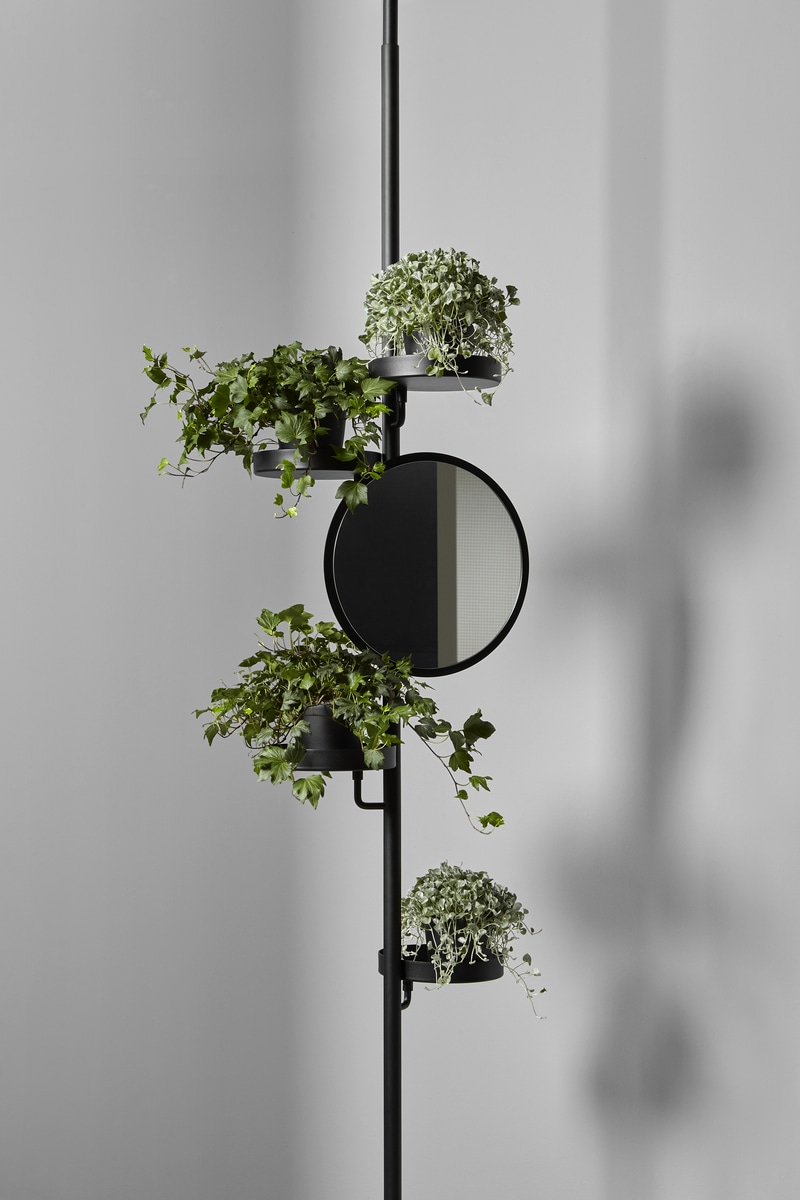 unprecedented "plant organism"